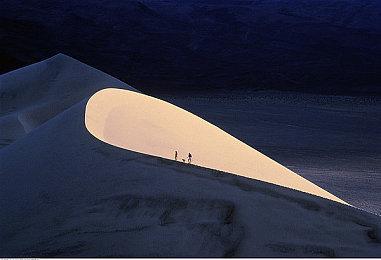 SE为旗下90年代游戏《Gex》在日本注册商标 IP重启在即